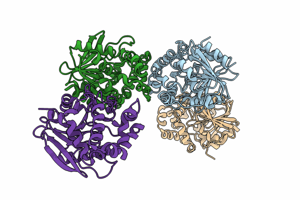 8HGU image