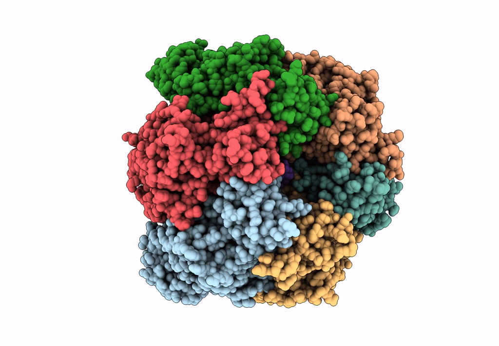 8HH8 image