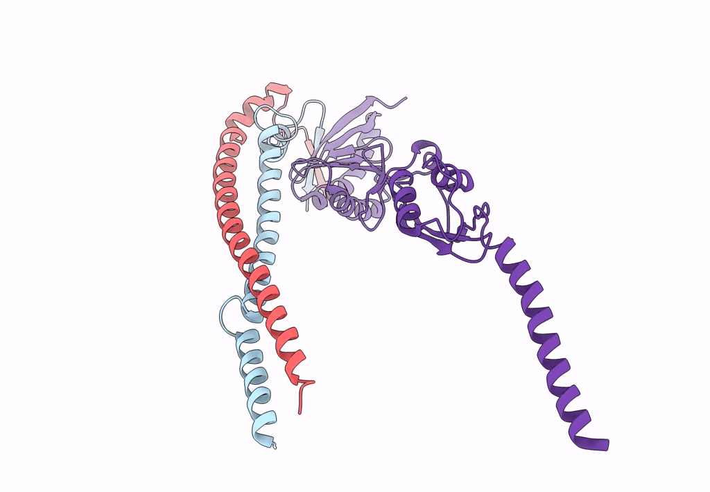 8HHF image