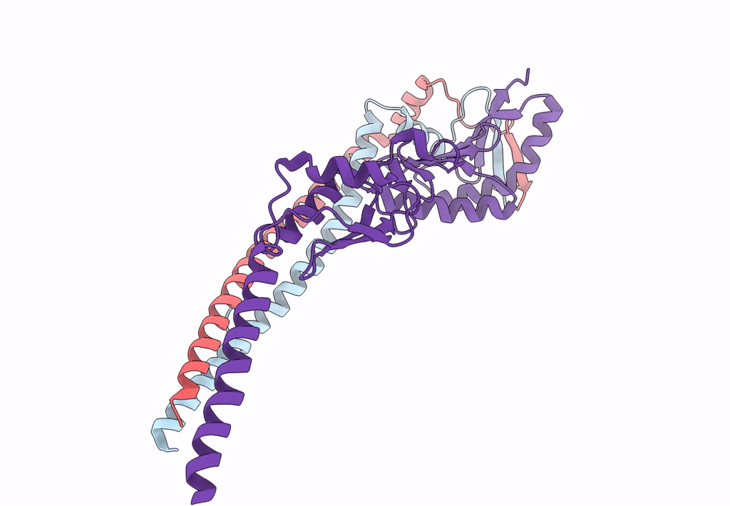 8HHG image