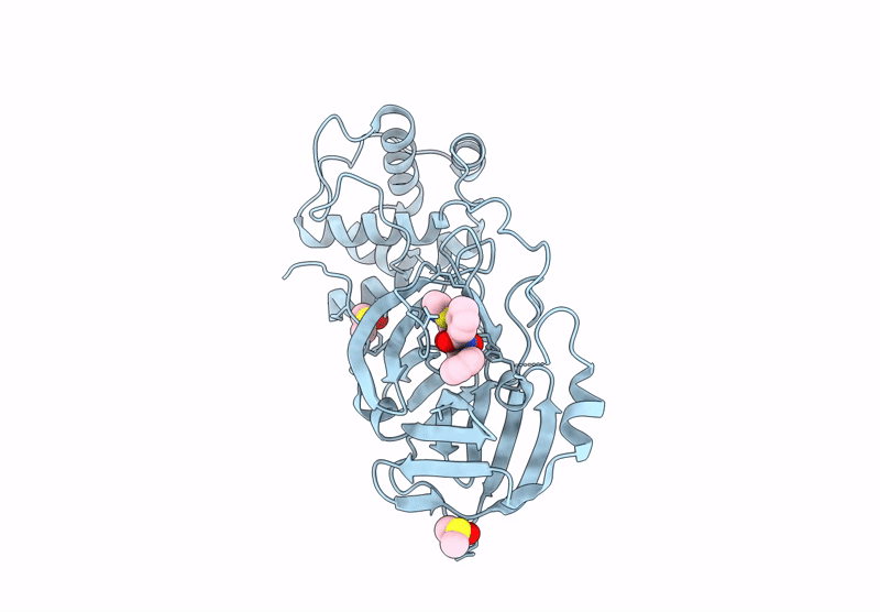 8HHT image