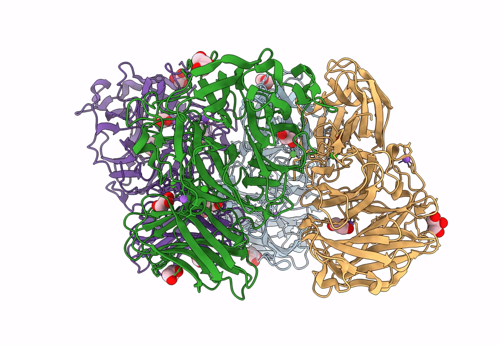 8HHV image