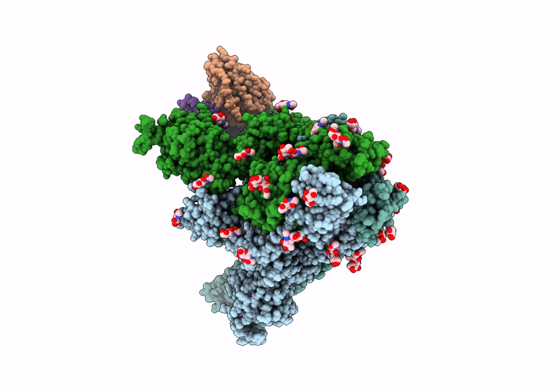 8HHX image