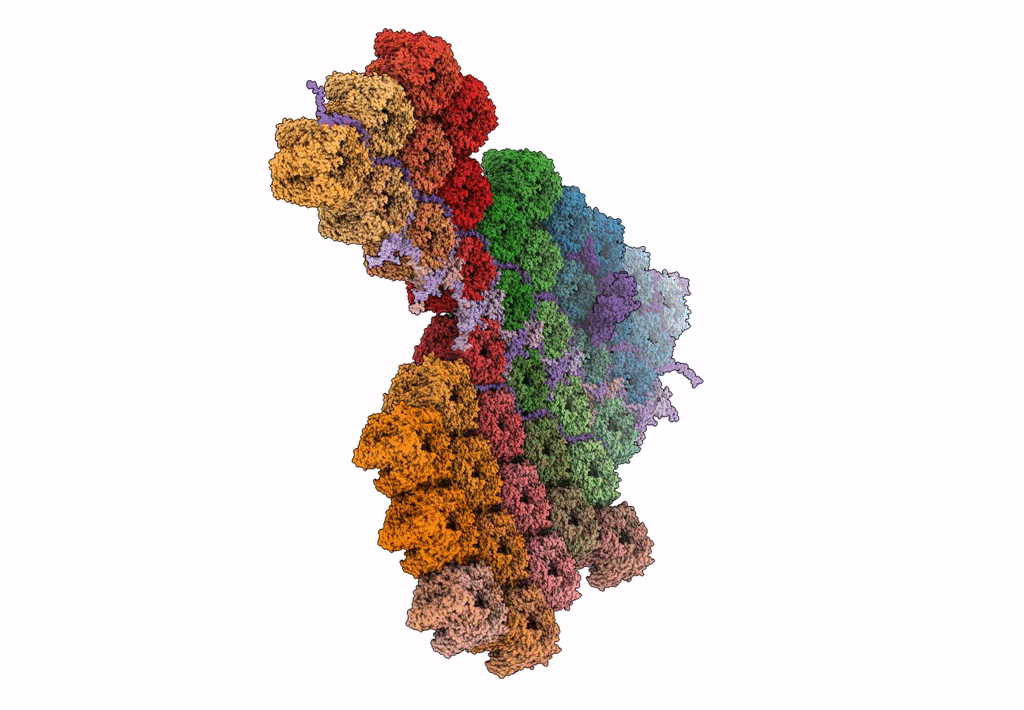 8HIF image