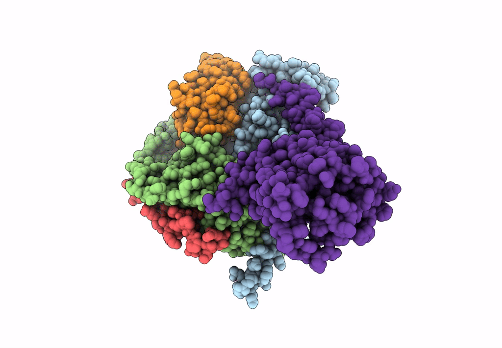 8HJ0 image