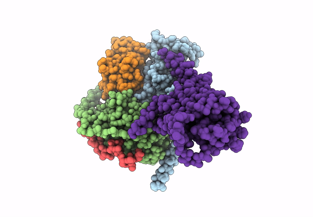 8HJ2 image