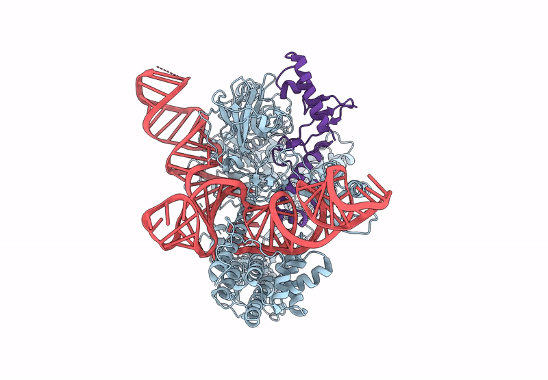 8HJ4 image