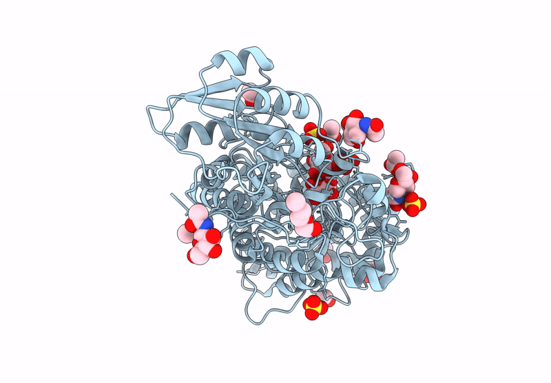 8HJ7 image