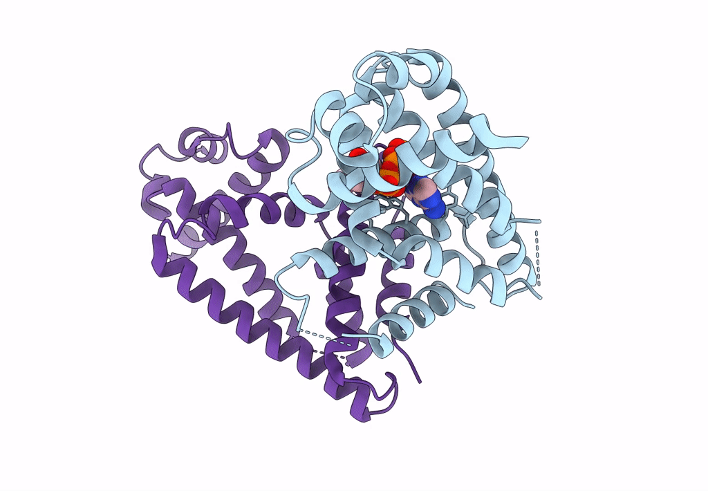 8HJB image
