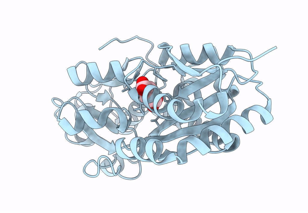 8HKB image