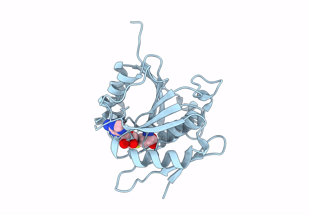 8HL6 image