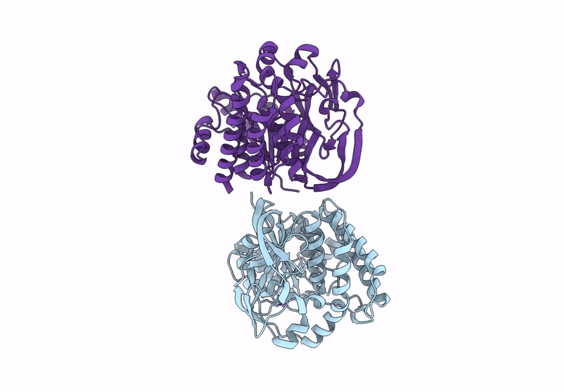 8HL8 image