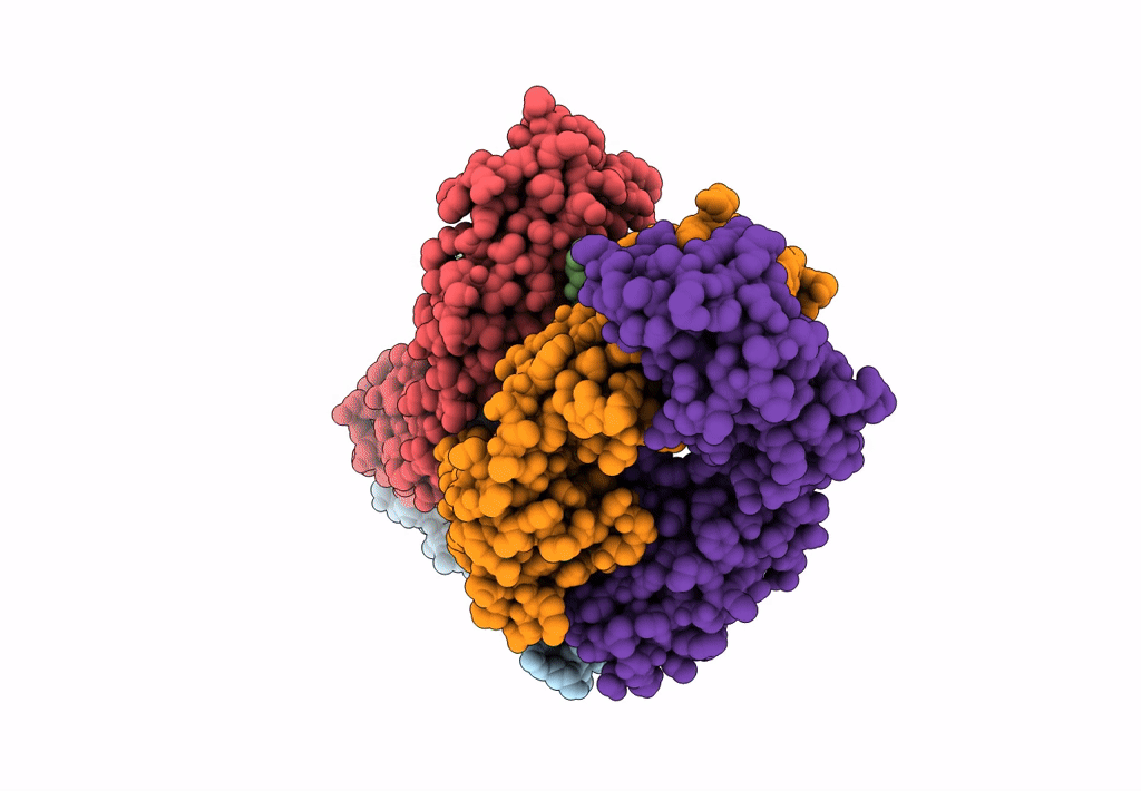 8HLB image