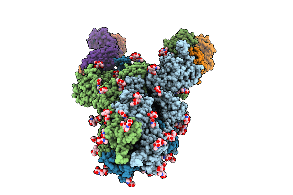 8HLC image