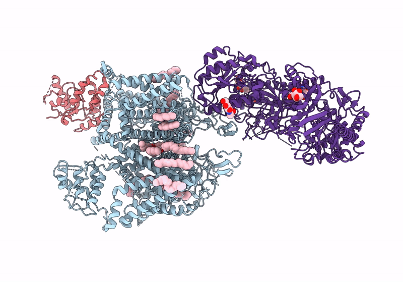 8HLP image
