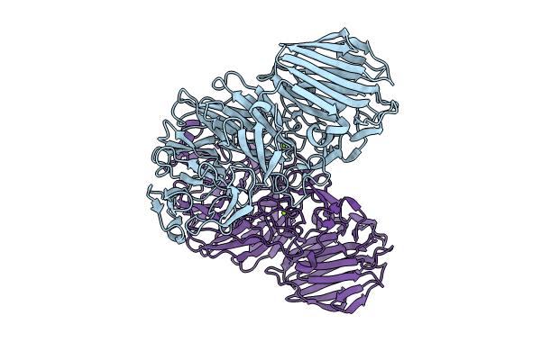 8HLS image