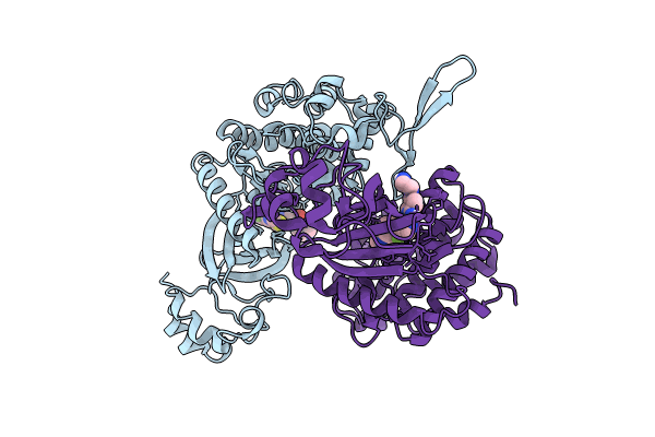 8HLT image