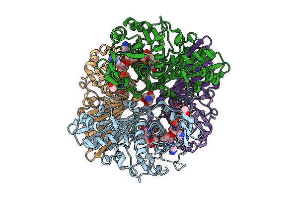 8HMN image