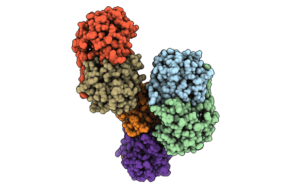 8HMO image