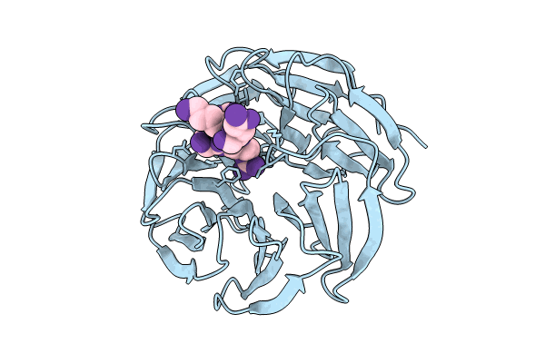 8HMX image