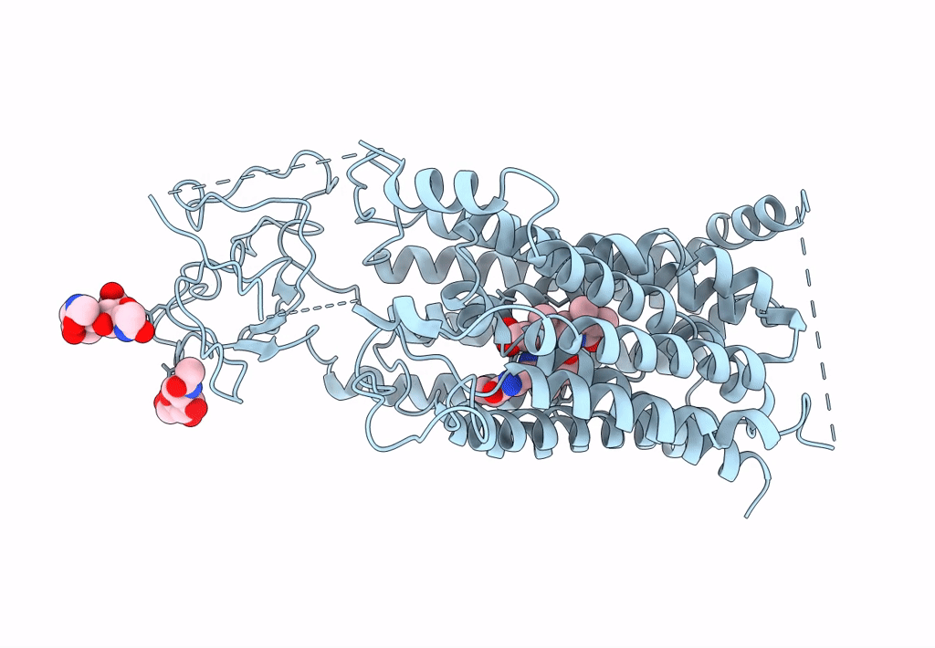 8HNC image