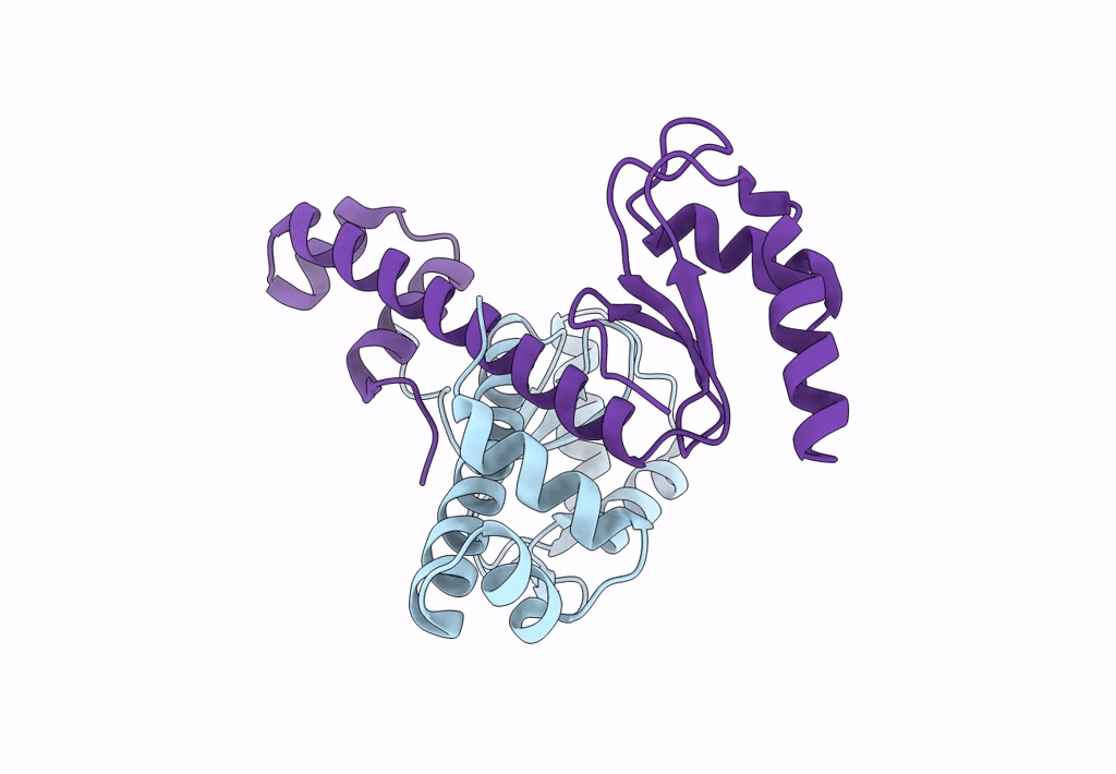 8HNO image