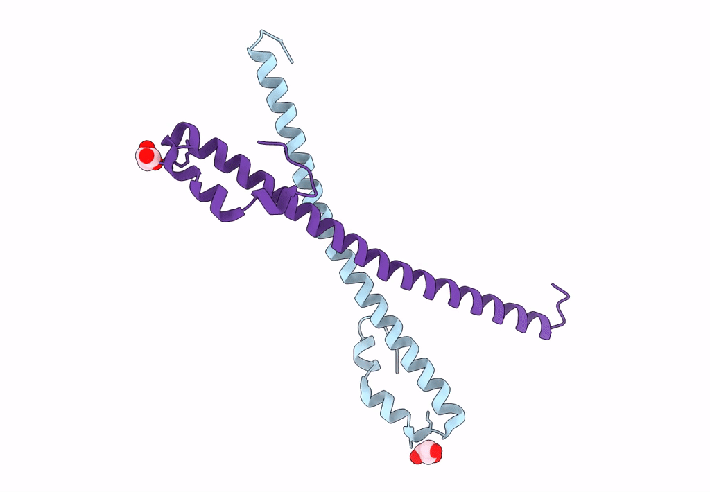 8HNS image