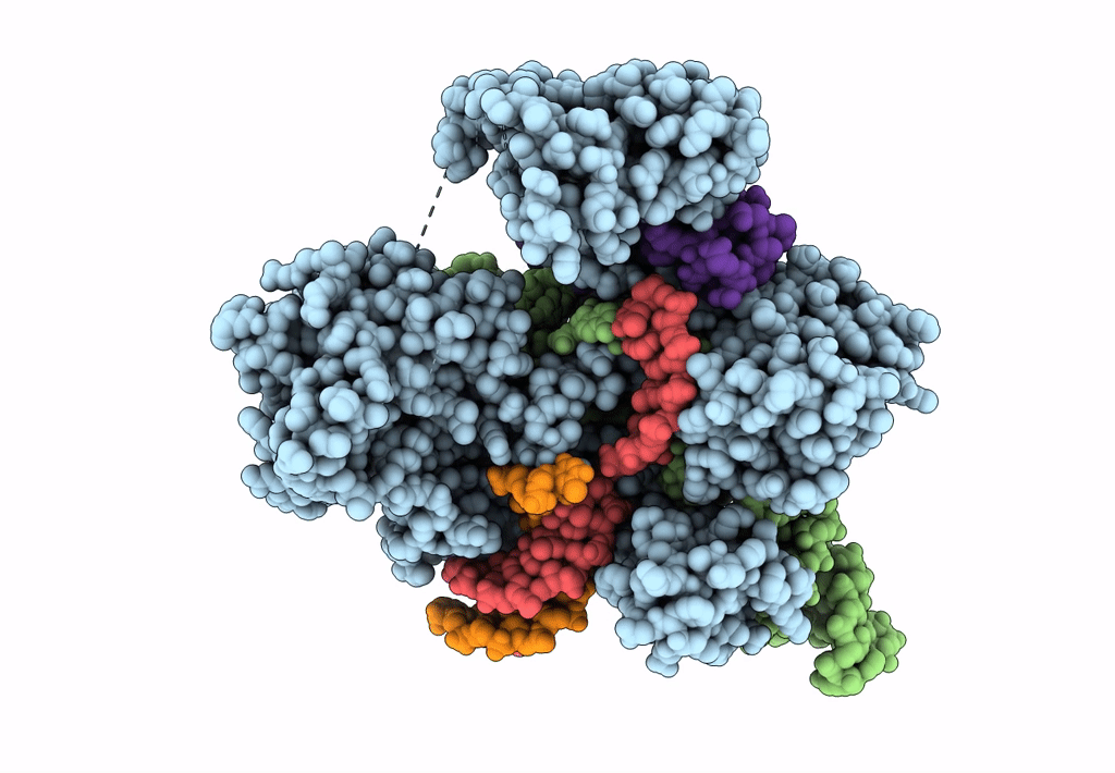 8HNV image
