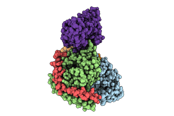 8HOC image