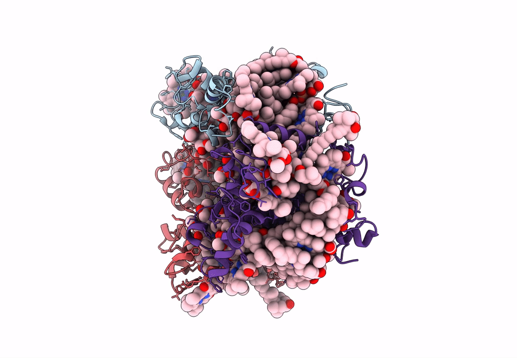8HPD image