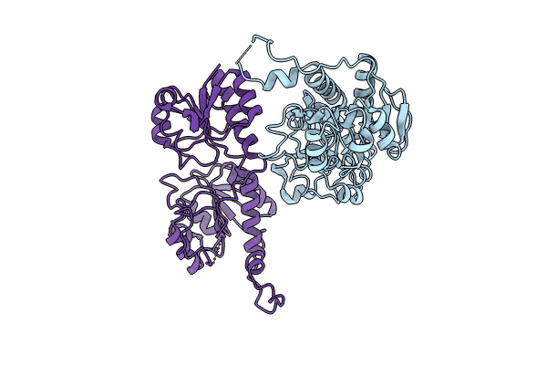 8HPG image