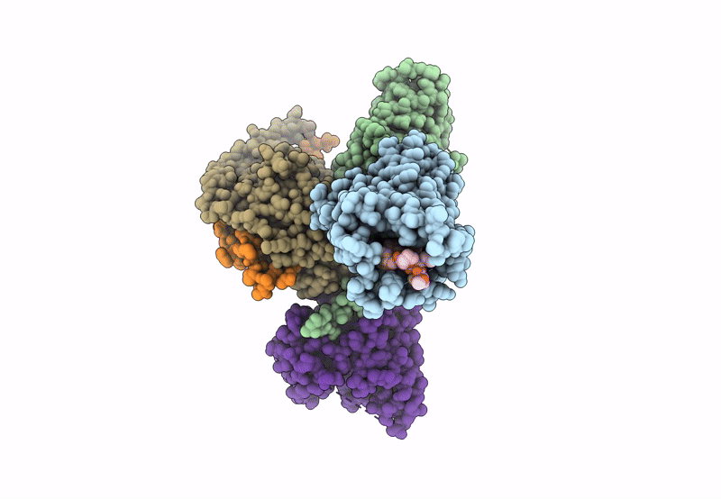 8HPT image