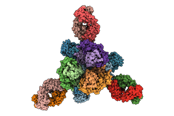 8HPV image