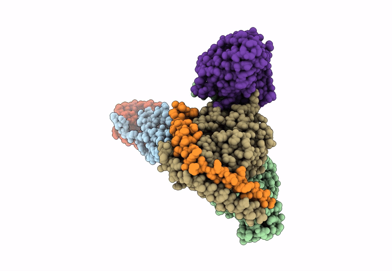 8HQC image