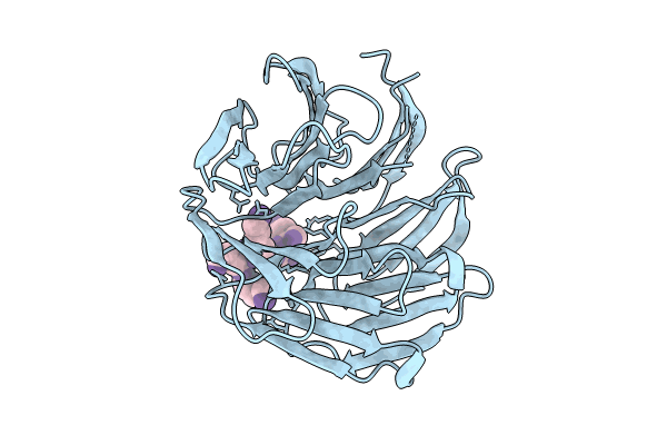 8HQX image