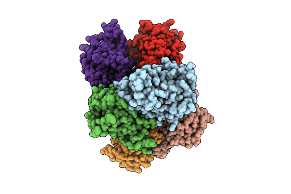 8HSA image