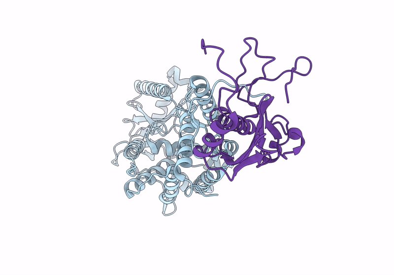 8HSB image