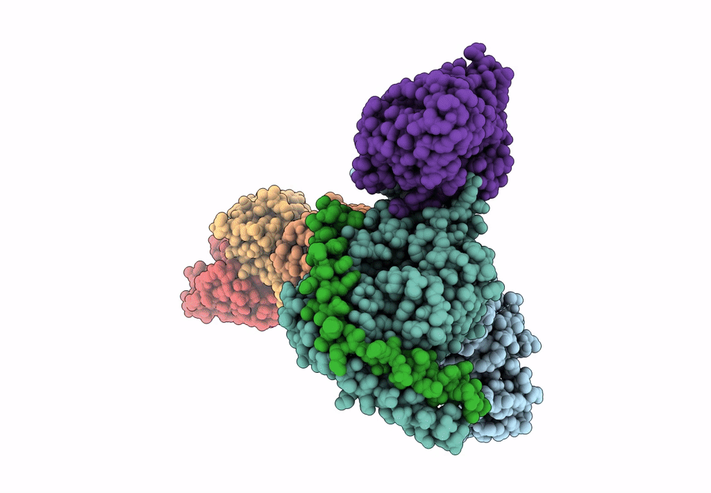 8HSC image