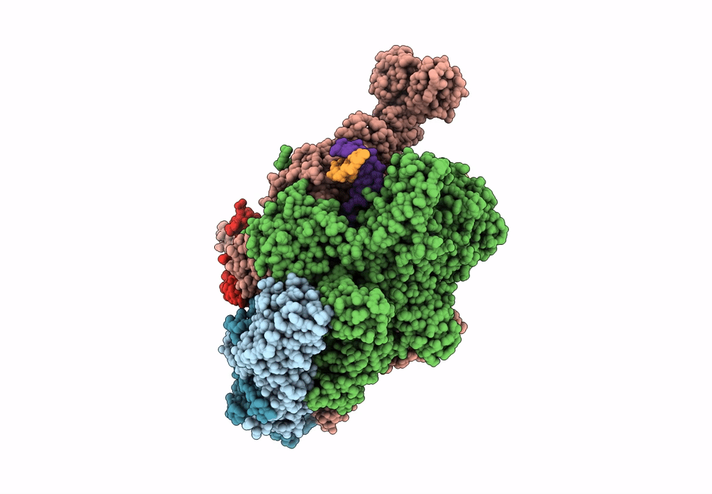 8HSG image