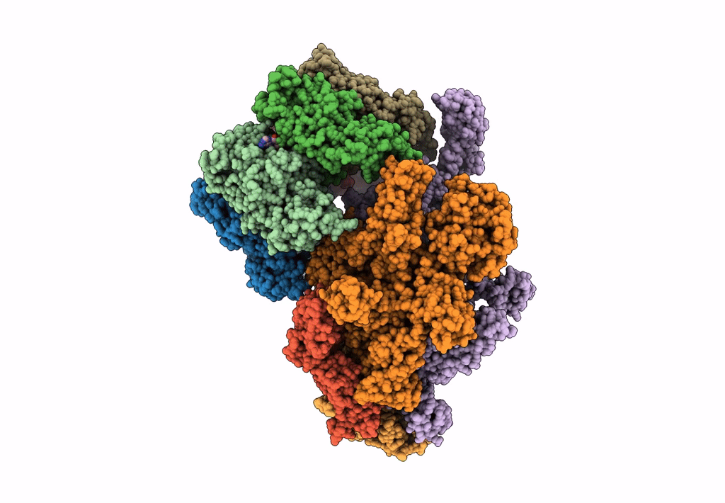 8HSL image