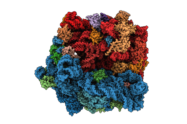 8HSP image