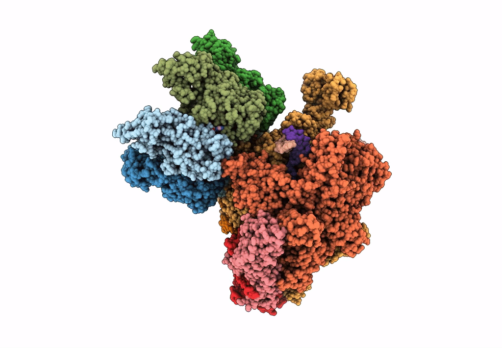 8HSR image