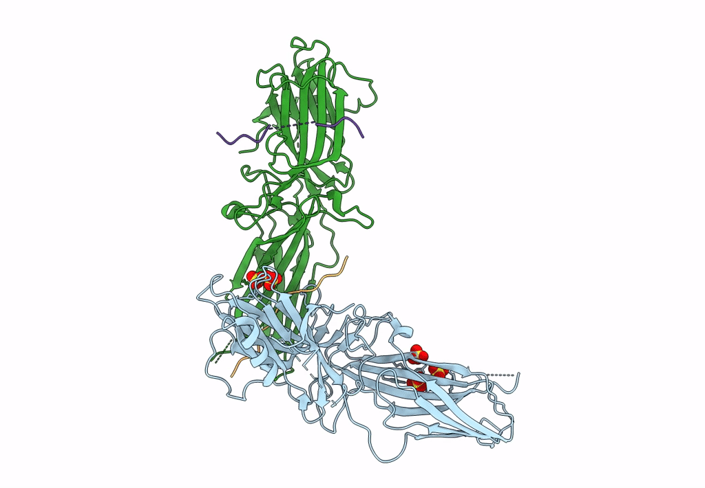 8HSV image