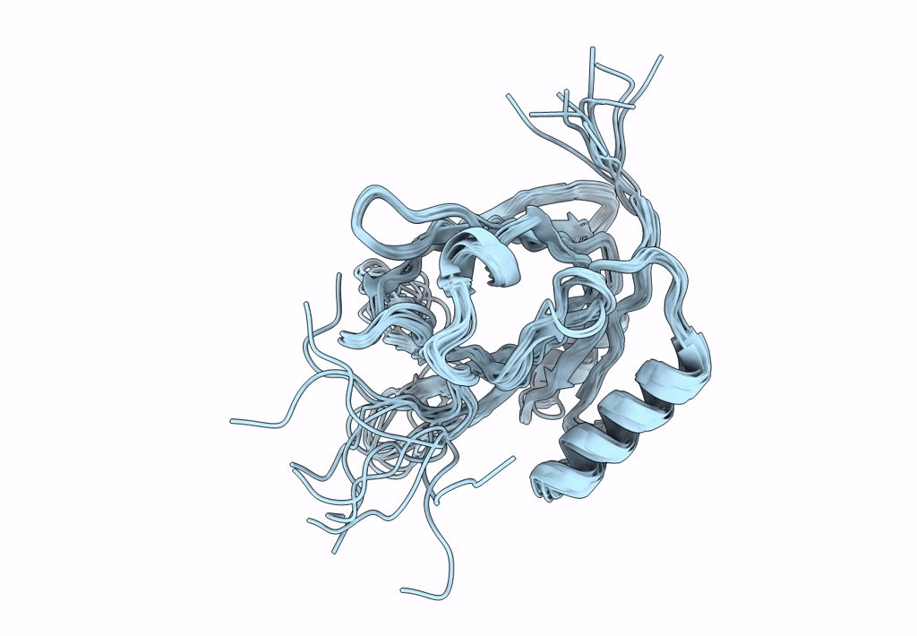 8HTA image
