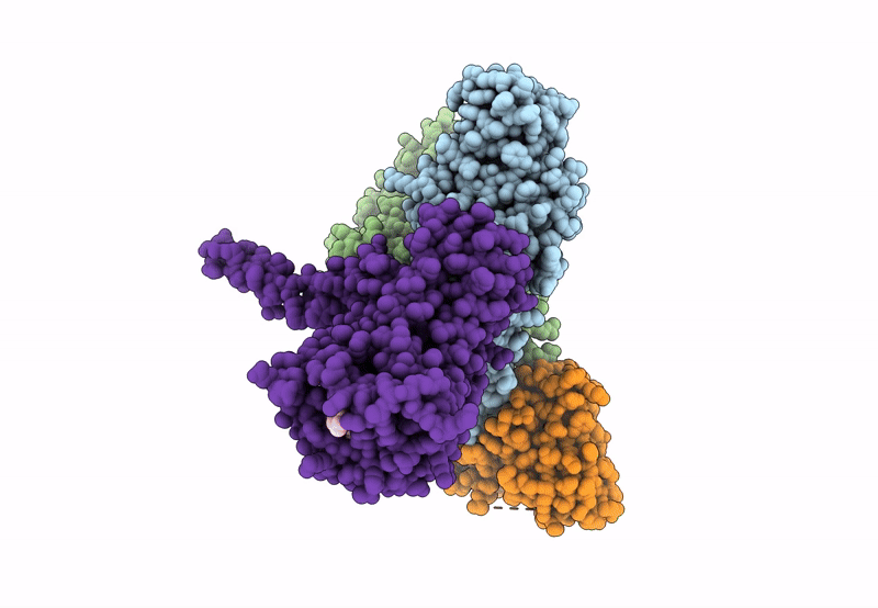 8HVI image