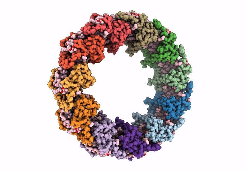 8HW1 image