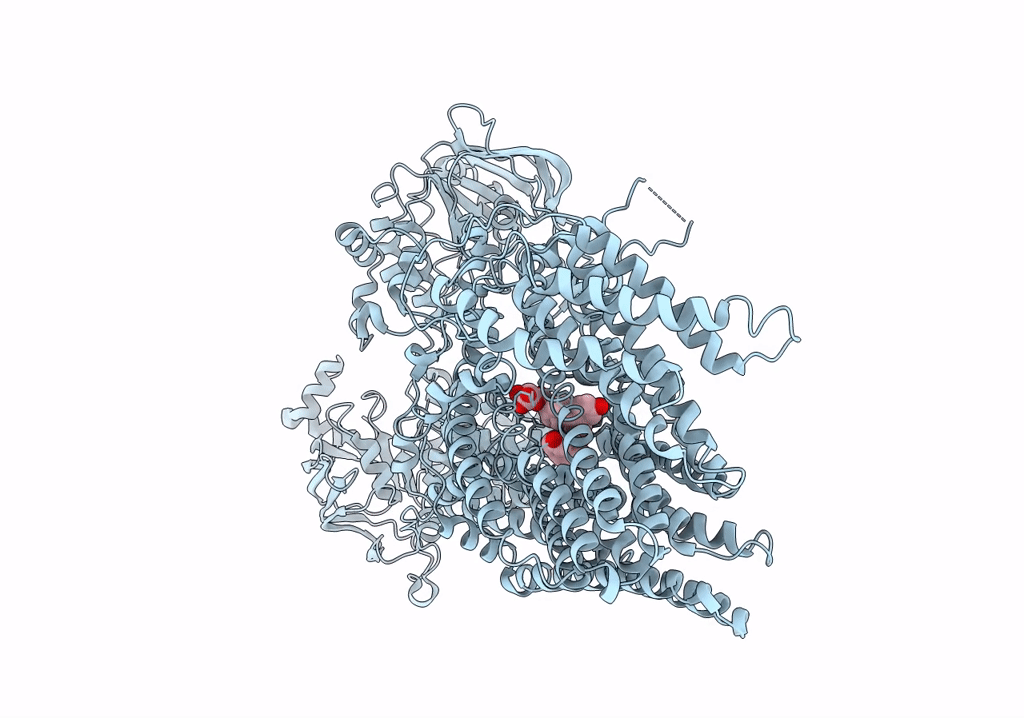 8HW2 image
