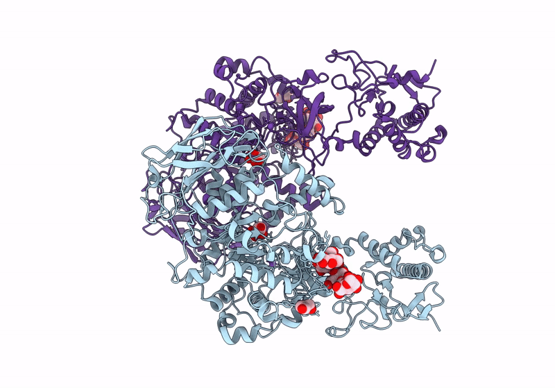 8HWK image