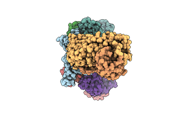 8HWS image