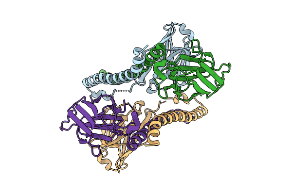 8HYL image